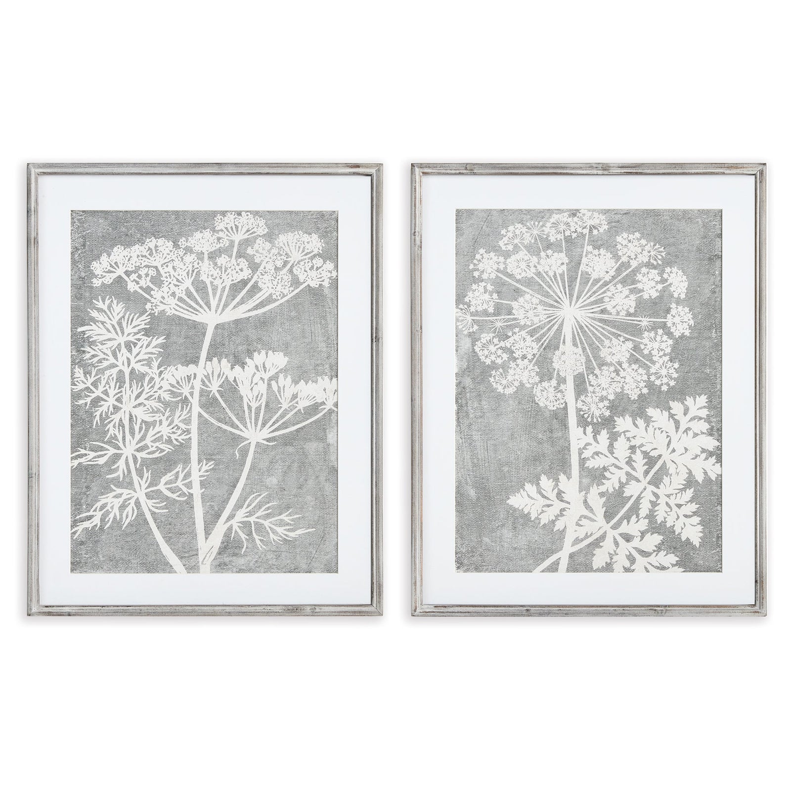 Blushing Queen Anne's Lace Prints, Set of 2