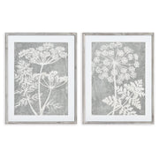 Blushing Queen Anne's Lace Prints, Set of 2