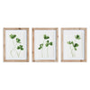 House of Clover Petite Prints, Set of 3