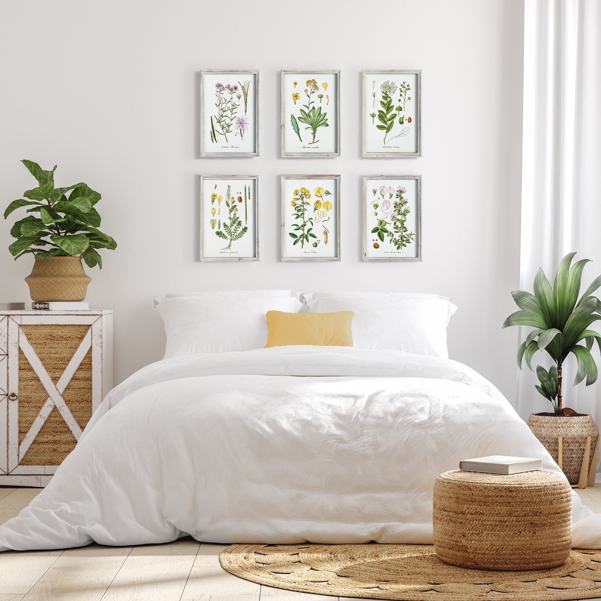 Botanica Perennis Study, Set of 6