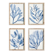 Syreen Marine Prints Set of 4
