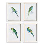 Radiant Parrot Prints, Set of 4