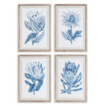 Mariella Protea Prints Set of 4