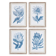 Mariella Protea Prints Set of 4