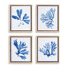 Mariella Seaweed Prints Set of 4