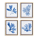 Mariella Seaweed Prints Set of 4