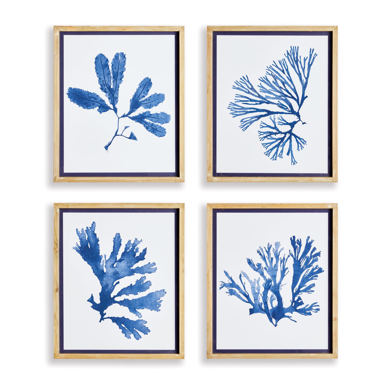 Mariella Seaweed Prints Set of 4