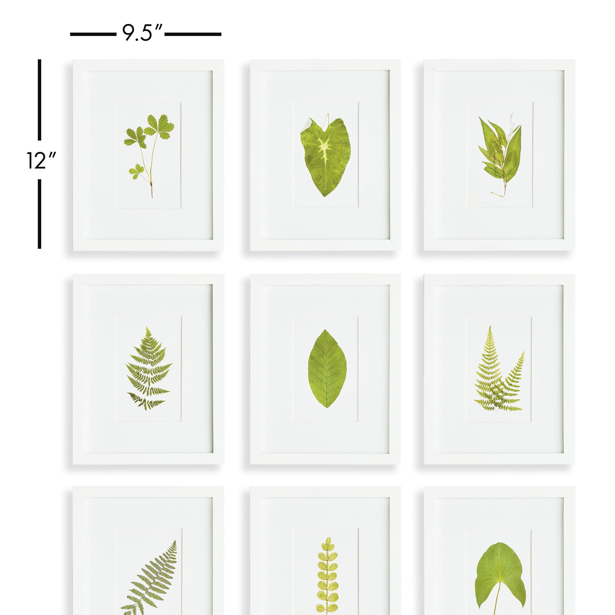 Verde Leaf Petite Prints, Set of 9