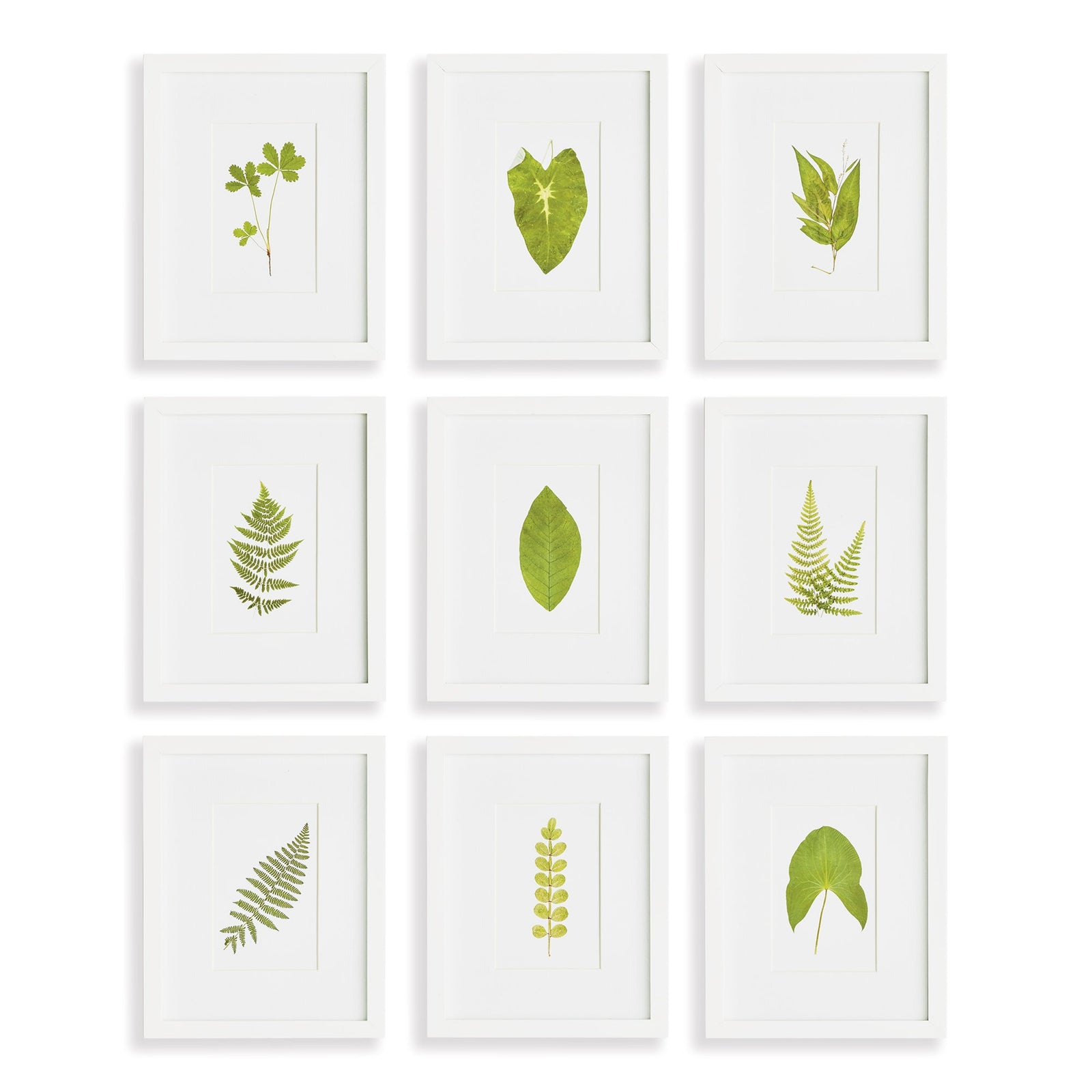 Verde Leaf Petite Prints, Set of 9