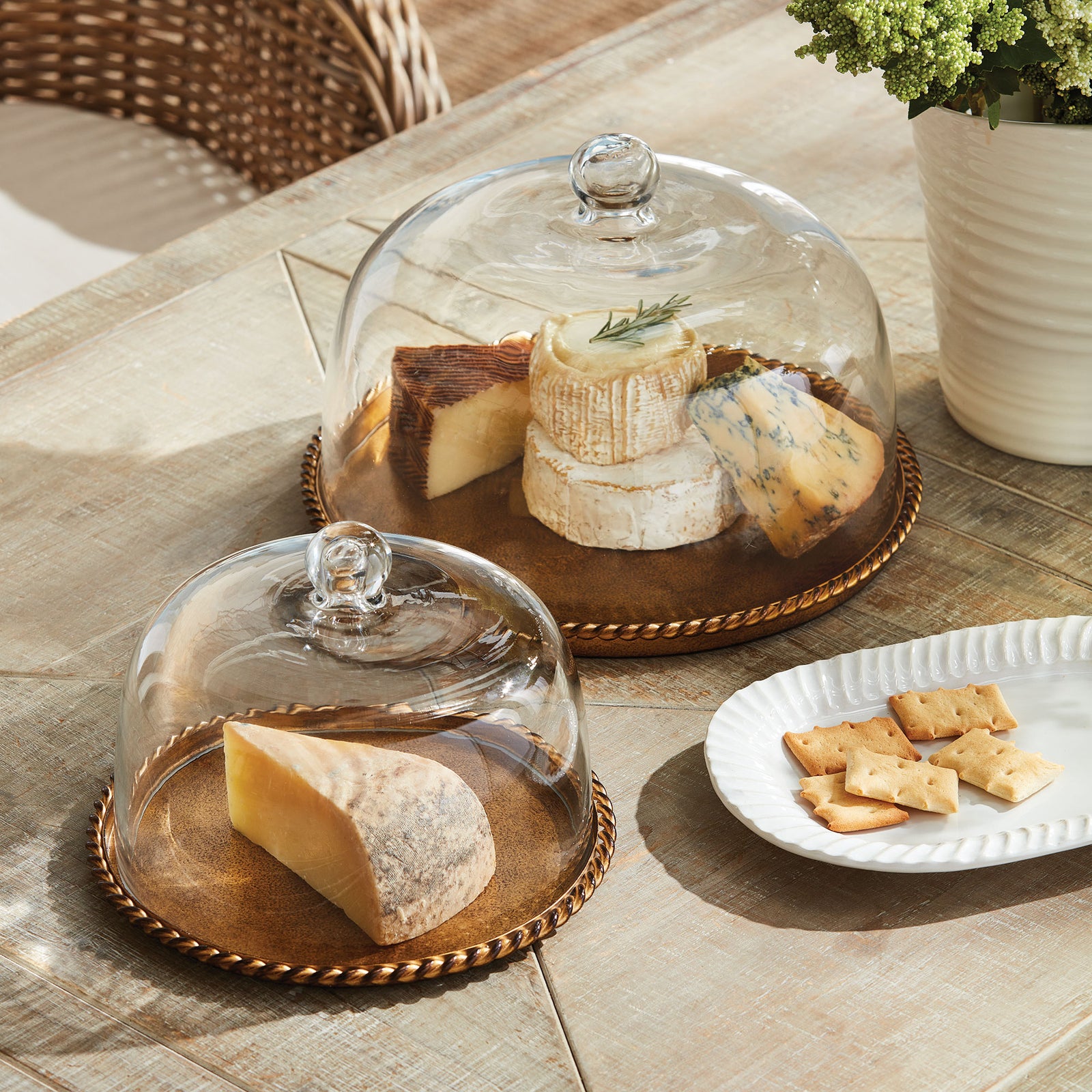Bralen Tray with Cloche