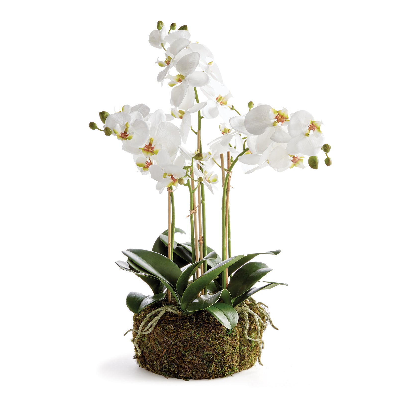 White Phalaenopsis Bowl Drop-in