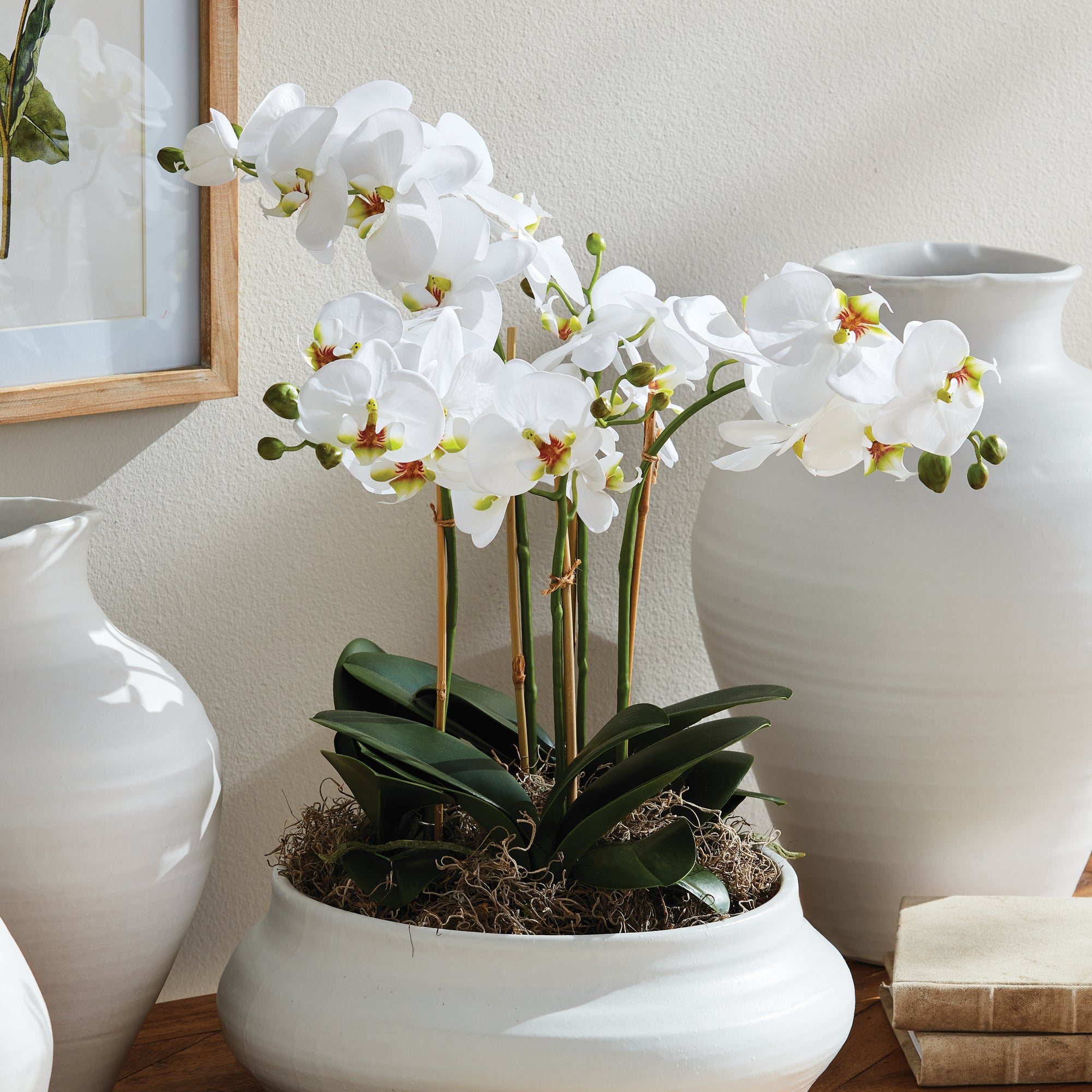 White Phalaenopsis Bowl Drop-in
