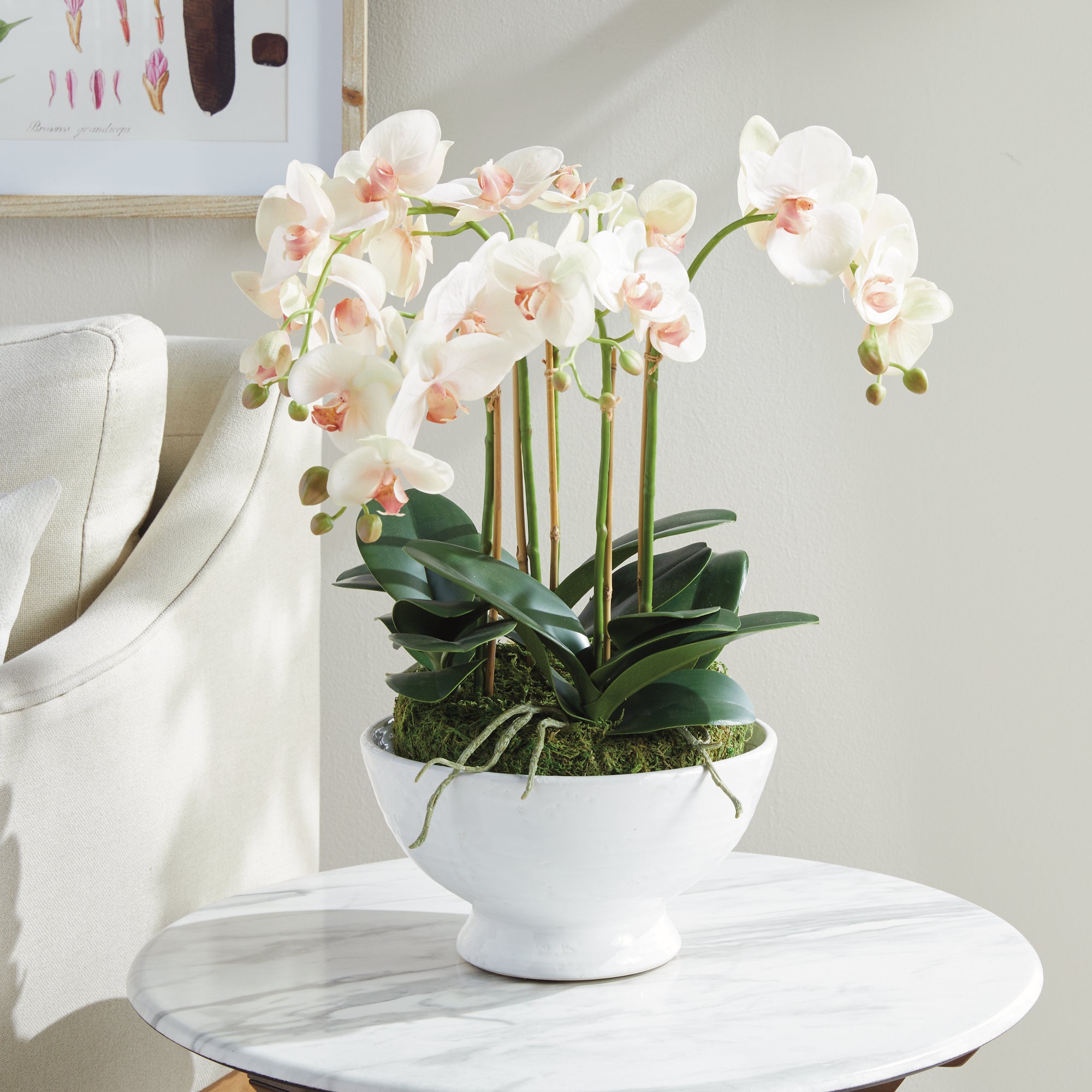 Blush Phalaenopsis Bowl Drop-in