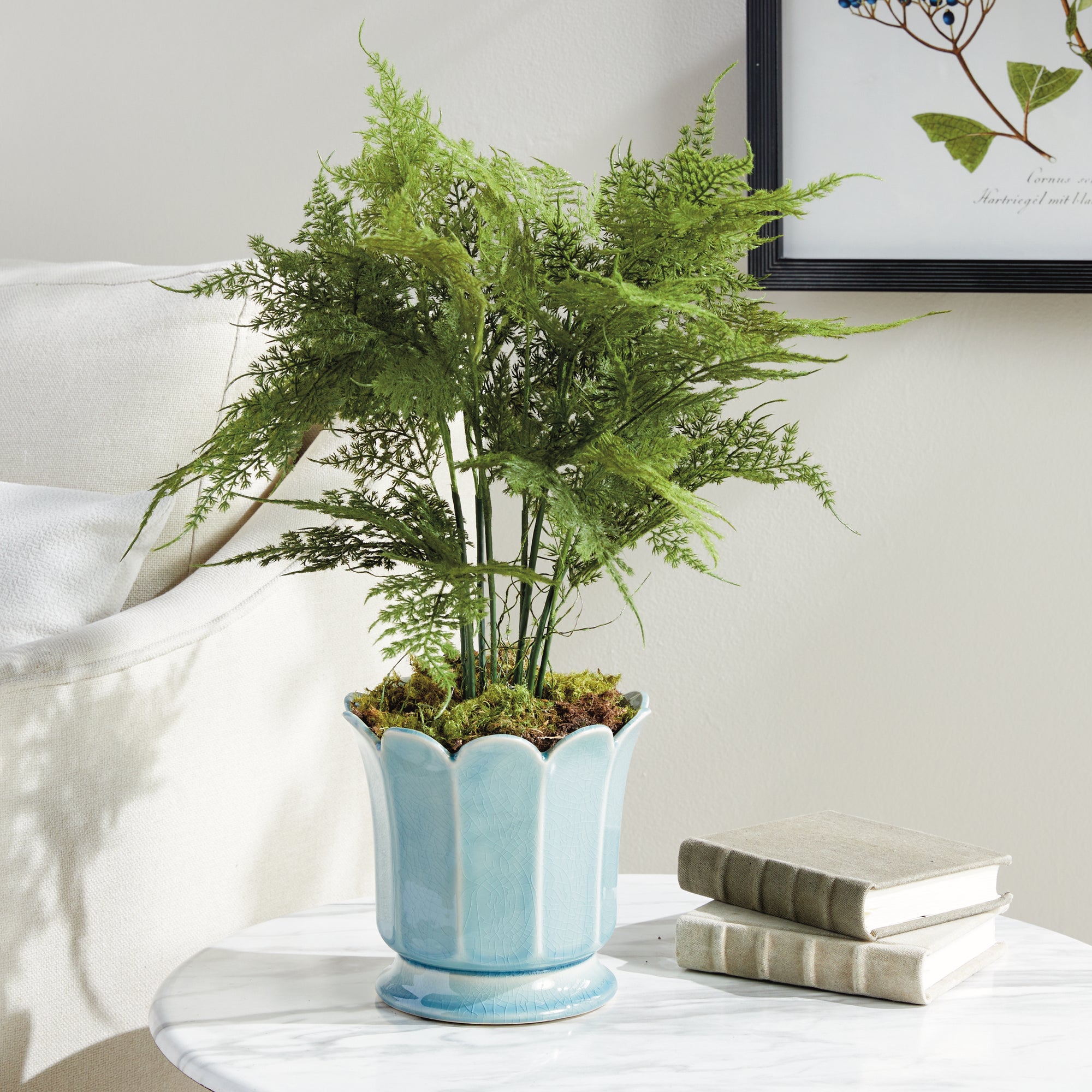 Lush Plumosa Fern Drop-in