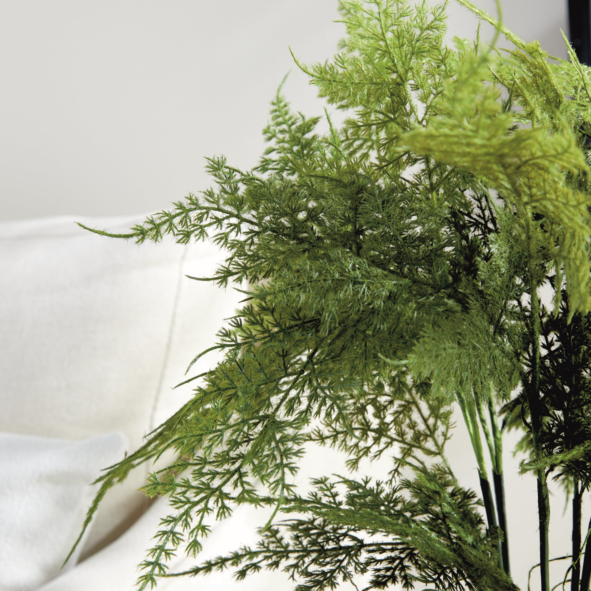 Lush Plumosa Fern Drop-in