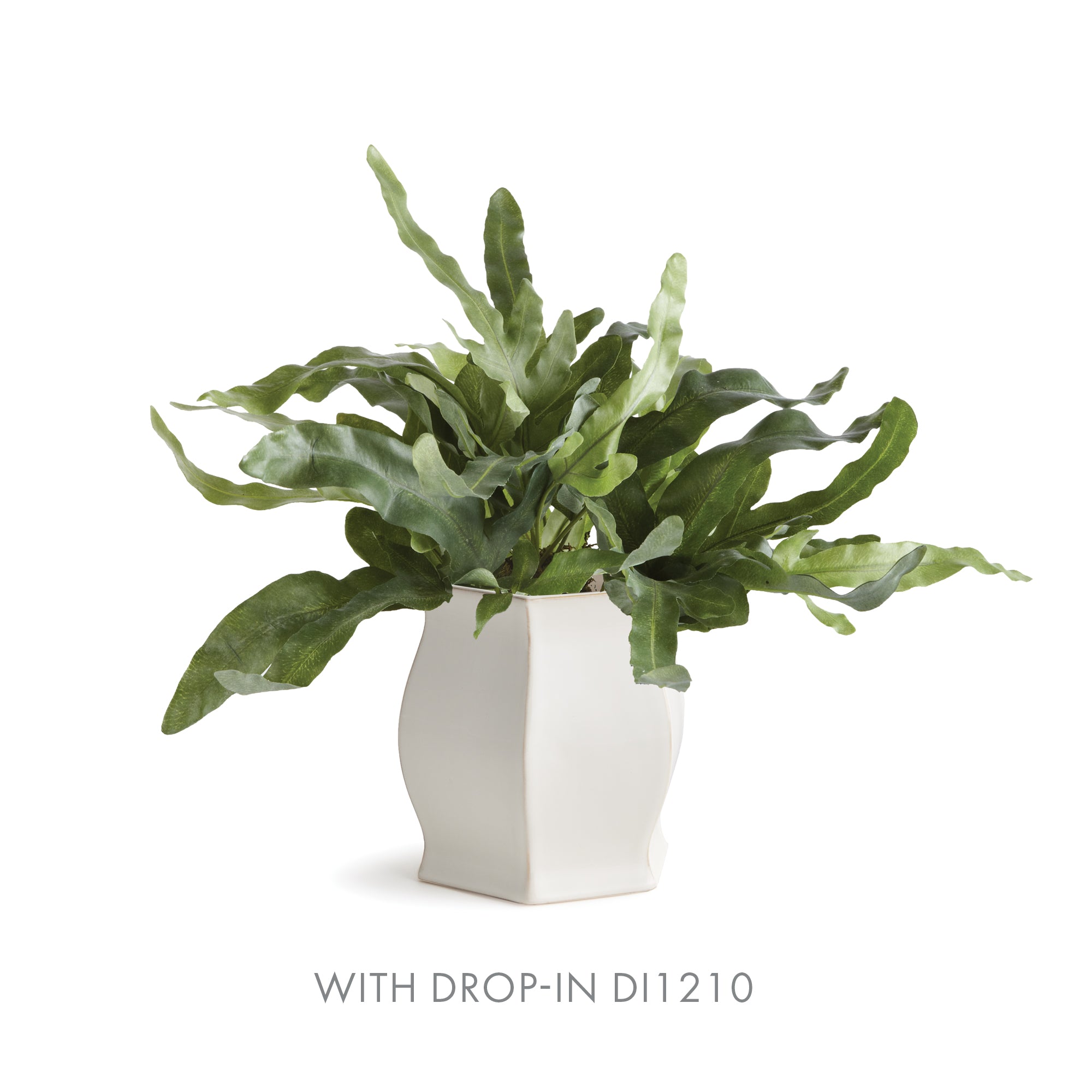 Aoi Pot