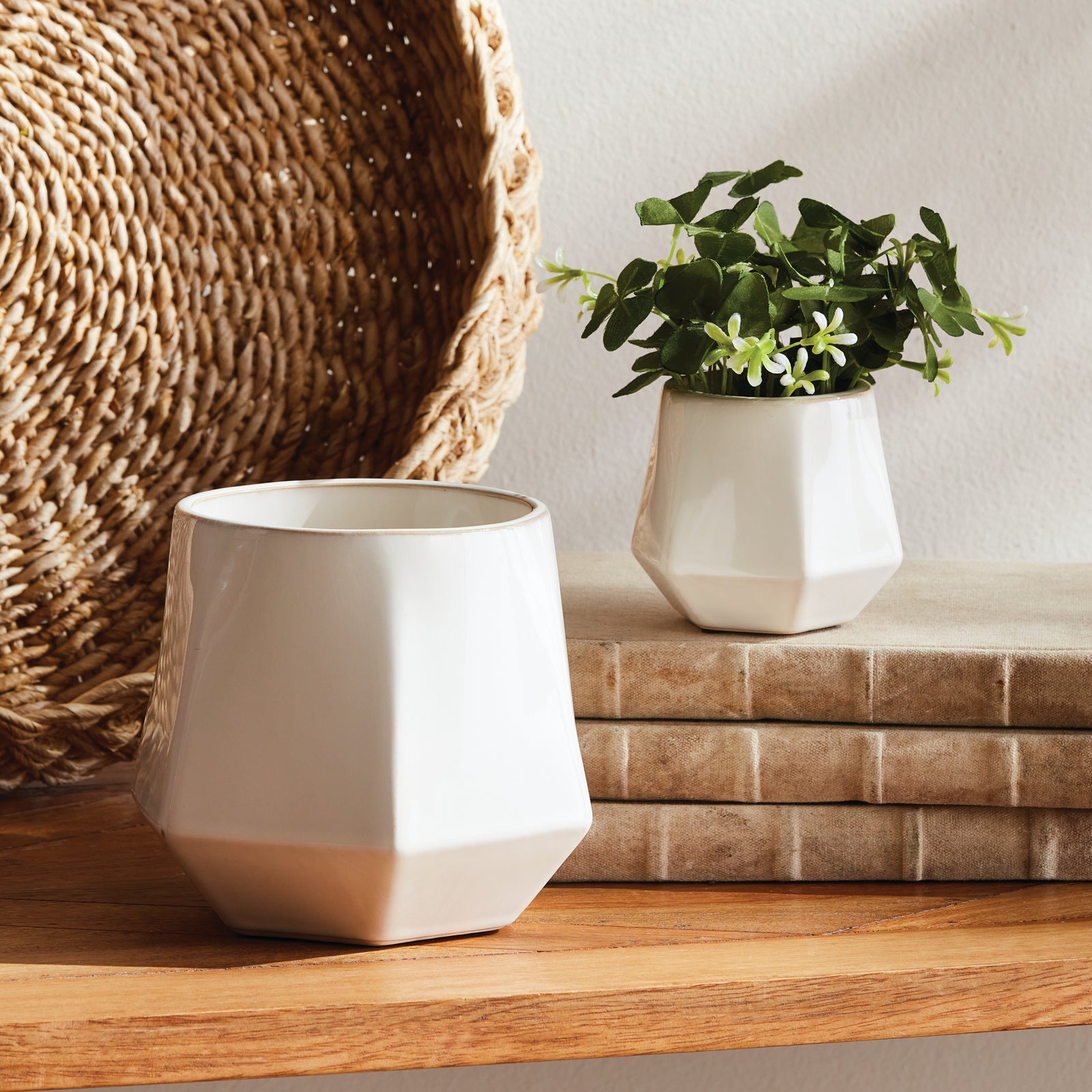 Apexon Pots, Set of 2