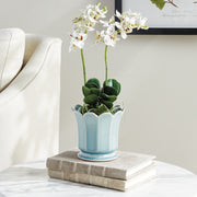 Mayline Footed Pot
