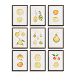 Mixed Fruits, Set of 9