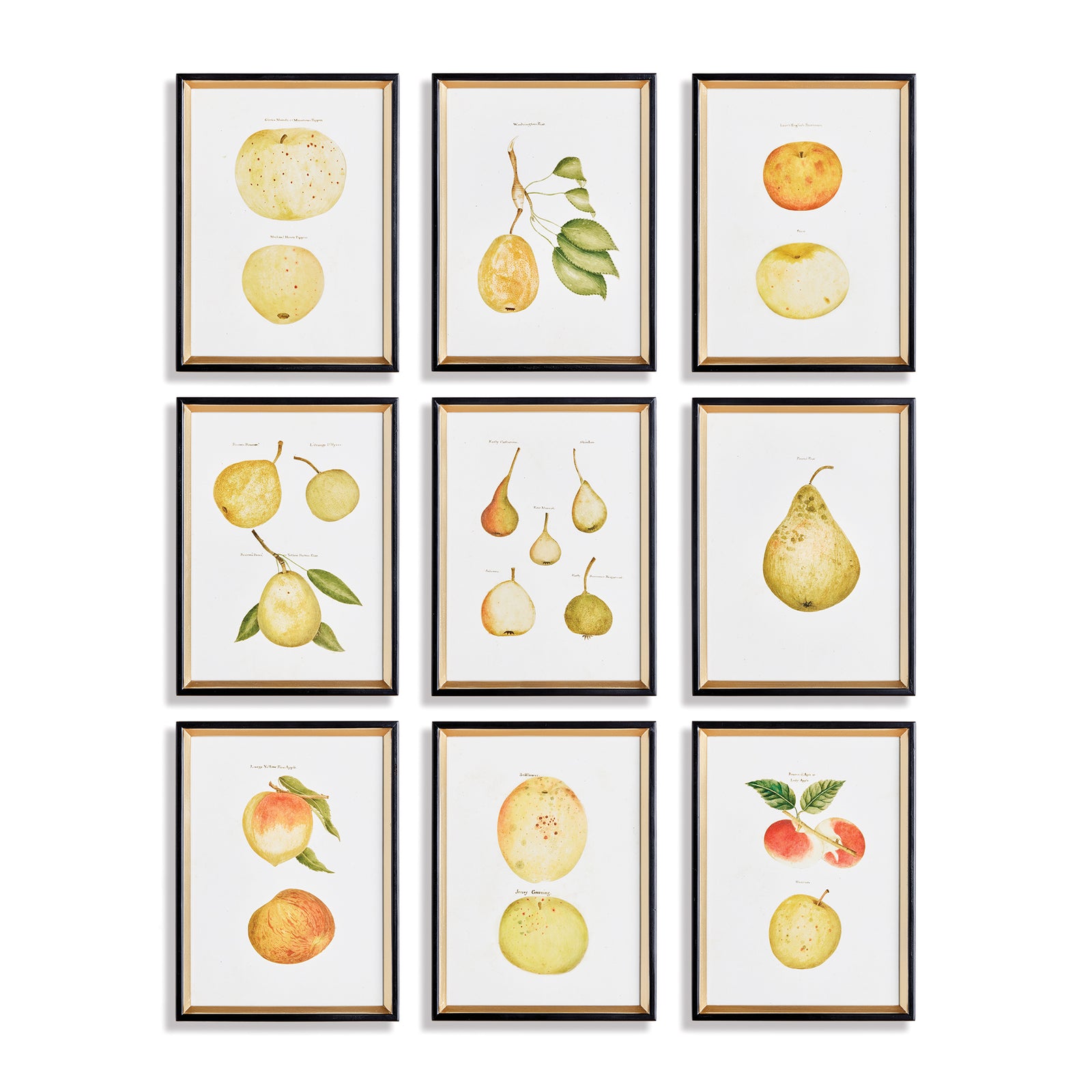 Mixed Fruits, Set of 9