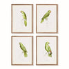 Parrots in Green, Set of 4