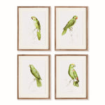 Parrots in Green, Set of 4