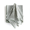 Veyra Dinner Napkins, Set of 4