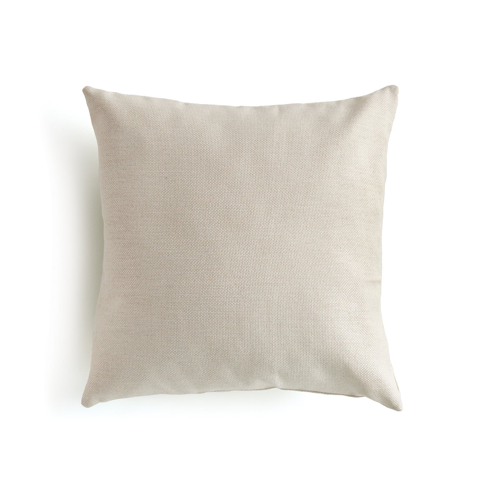 Gael Square Indoor-Outdoor Pillow 20"