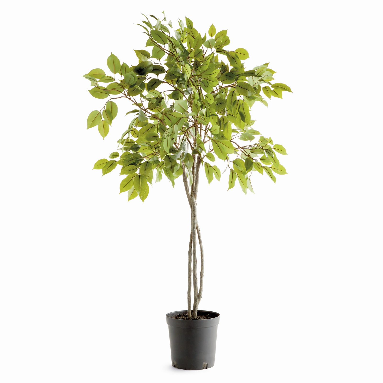 Fiora Tree Drop-in 51"