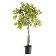 Fiora Tree Drop-in 51"
