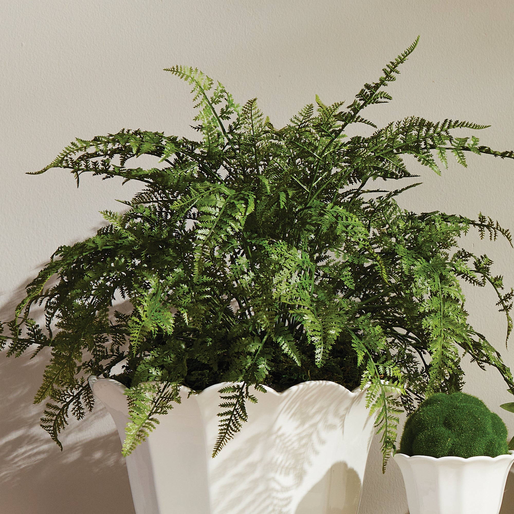 Evergreen Fern Drop-in