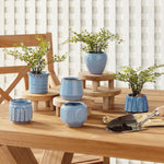 Dolly Mini Pots Set of 6