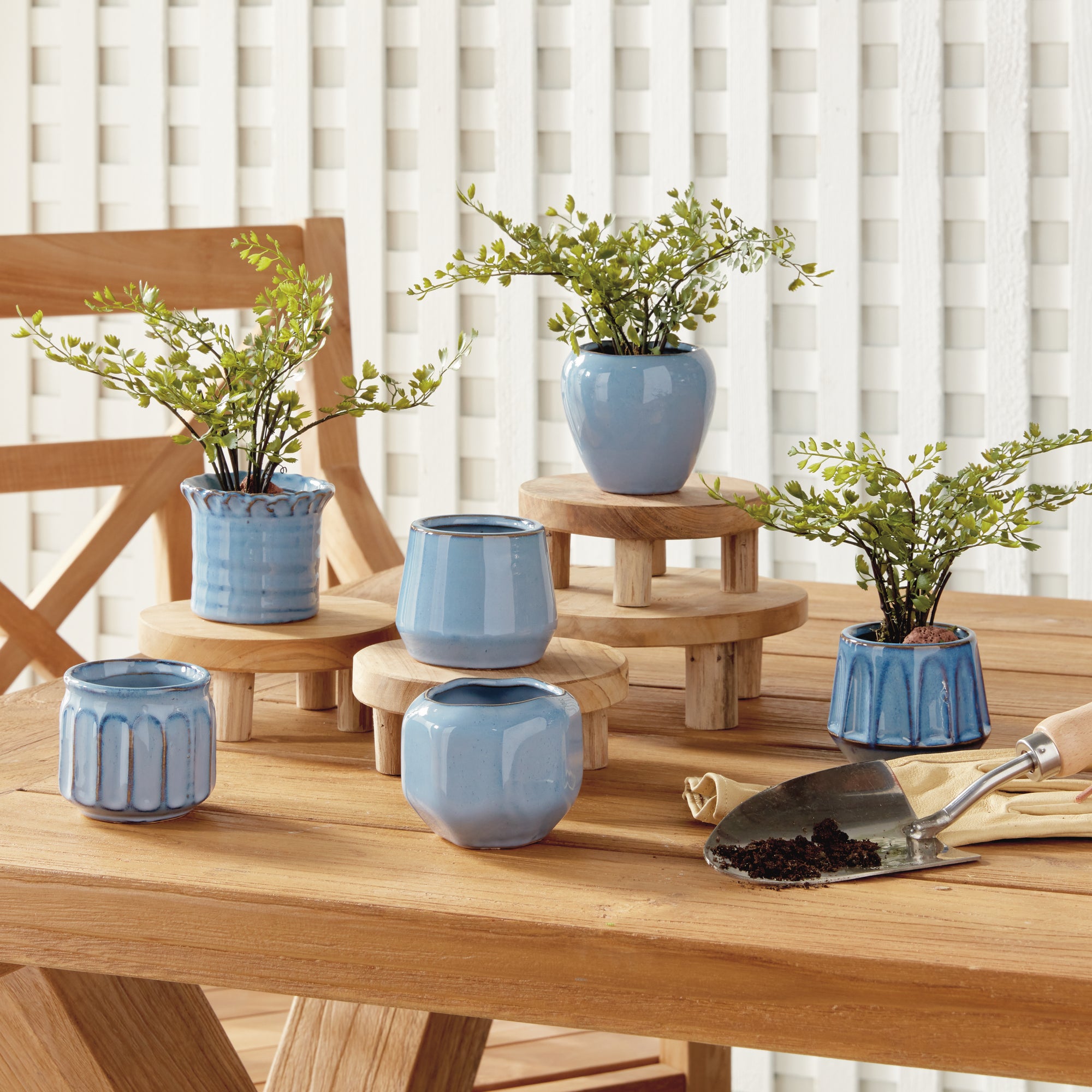 Dolly Mini Pots, Set of 6