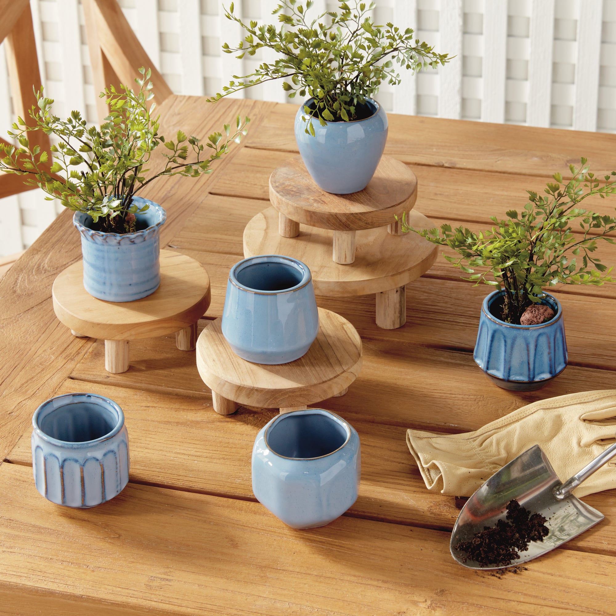 Dolly Mini Pots, Set of 6