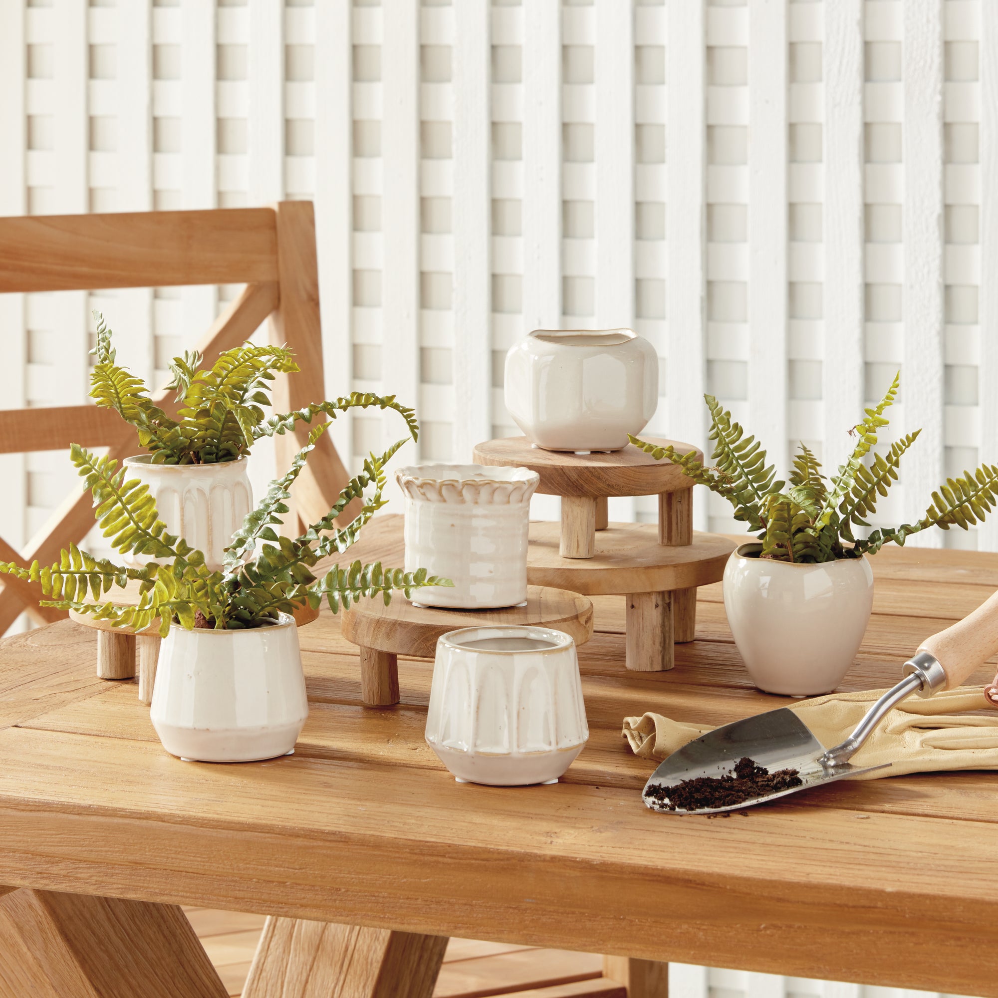 Dolly Mini Pots, Set of 6