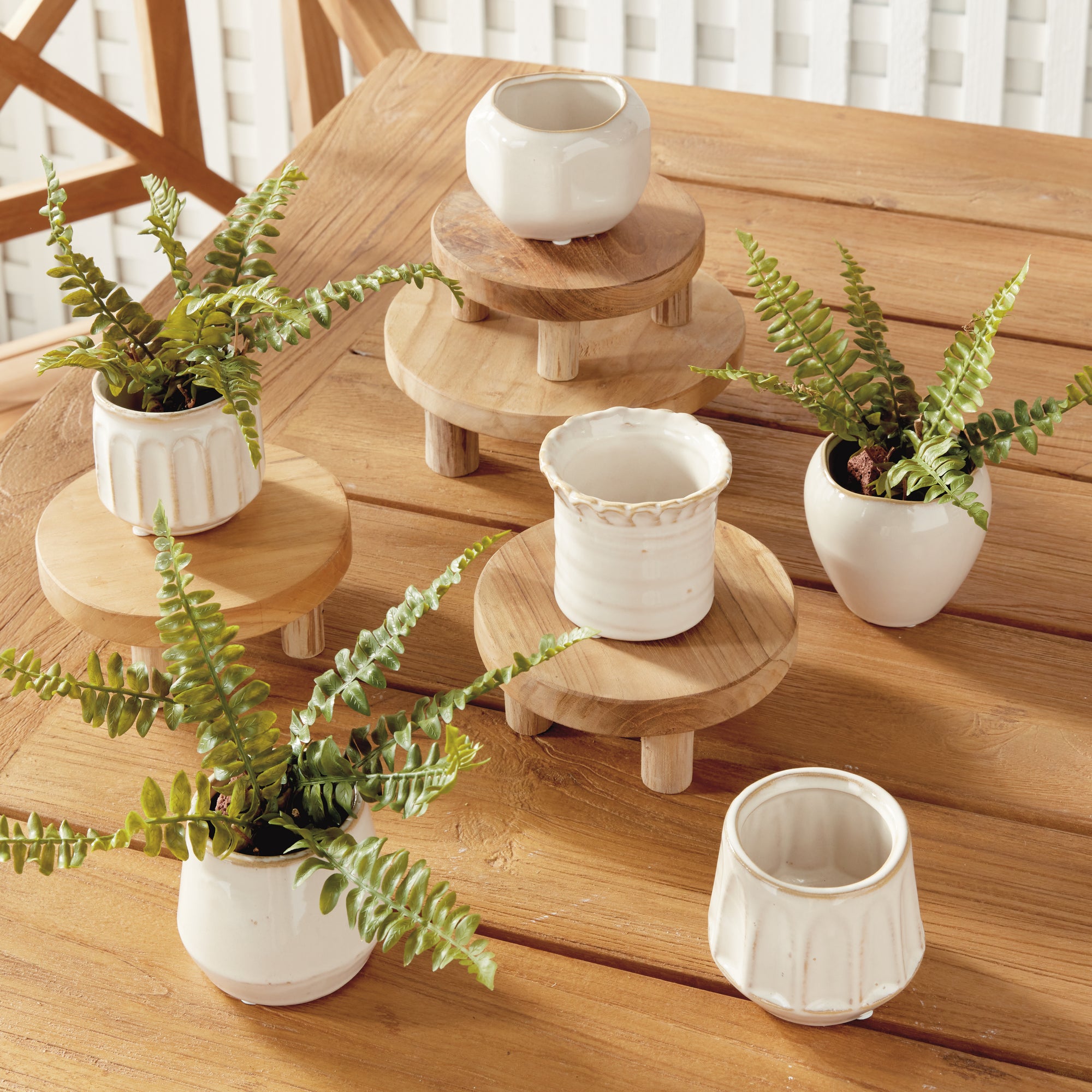 Dolly Mini Pots, Set of 6