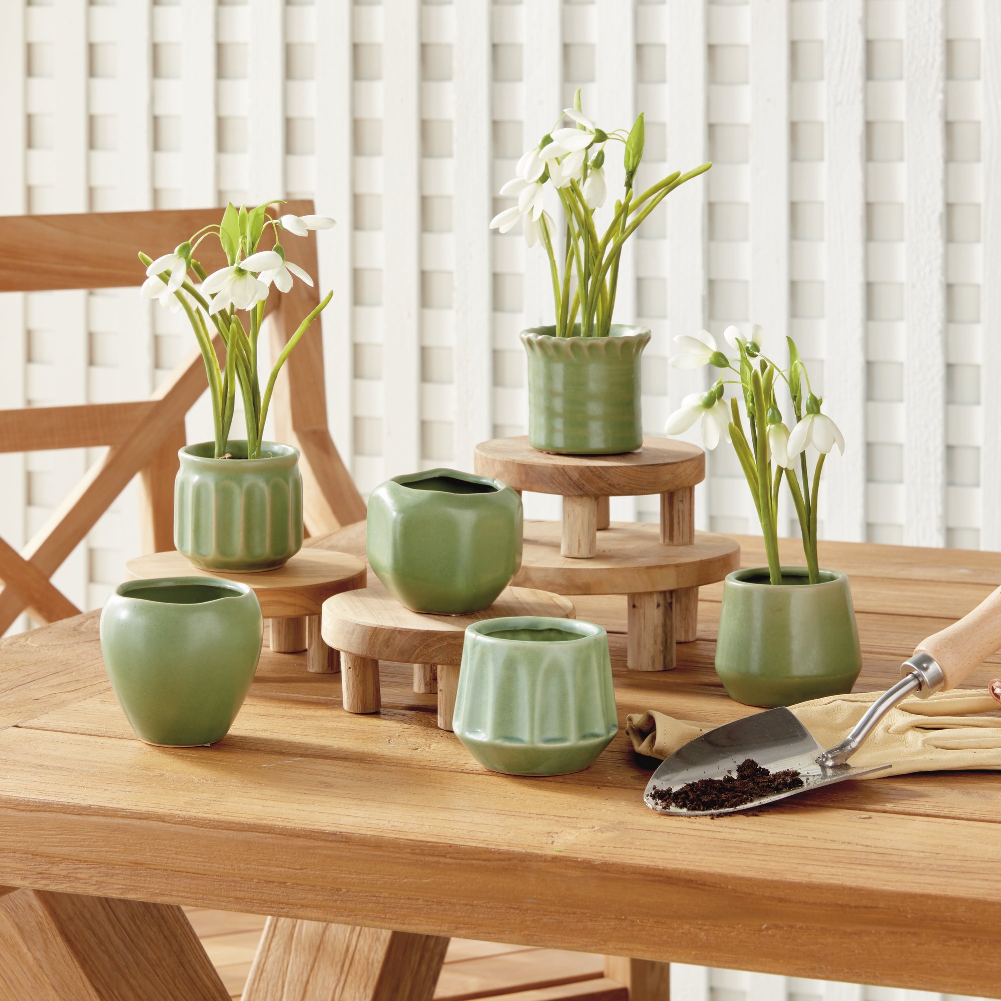 Dolly Mini Pots, Set of 6