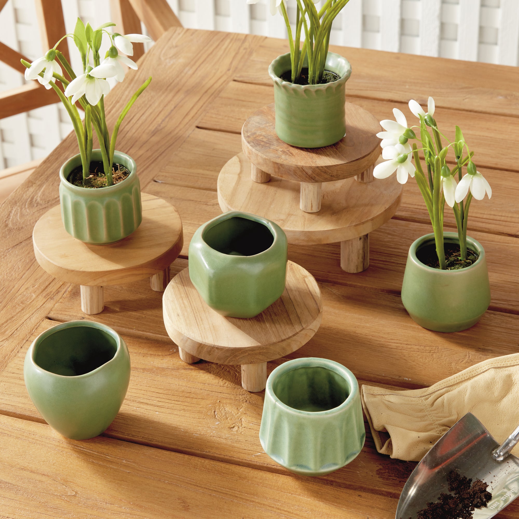 Dolly Mini Pots, Set of 6