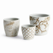 Brannock Flower Pots, Set of 3