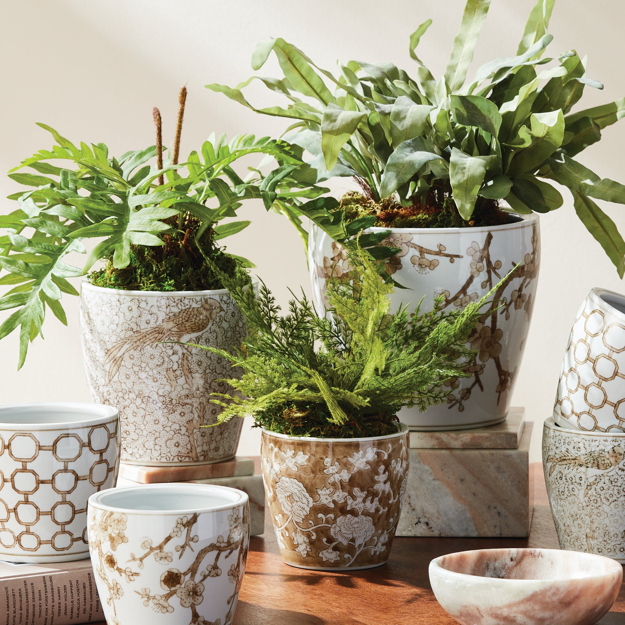 Brannock Flower Pots, Set of 3