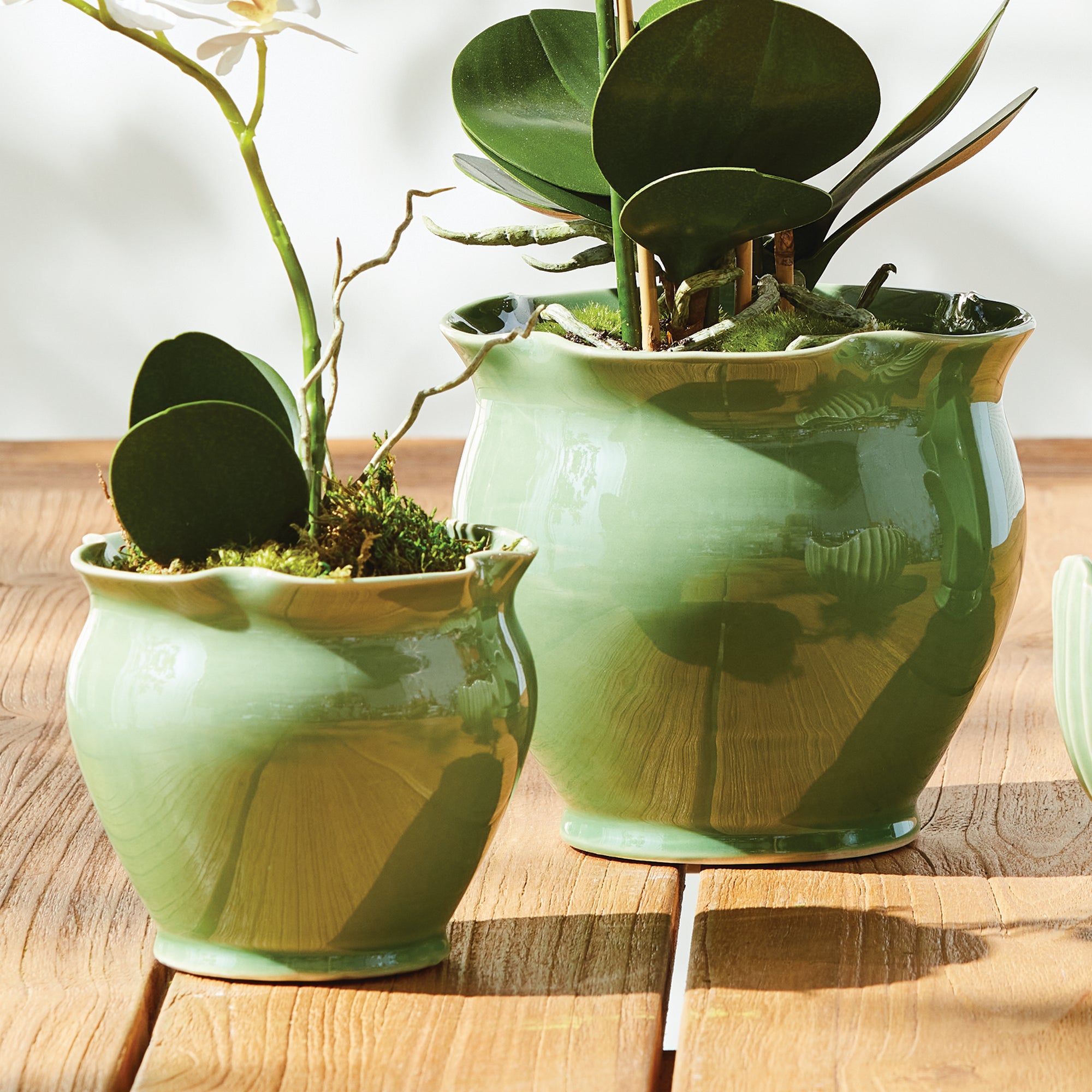 Meya Pots, Set of 2