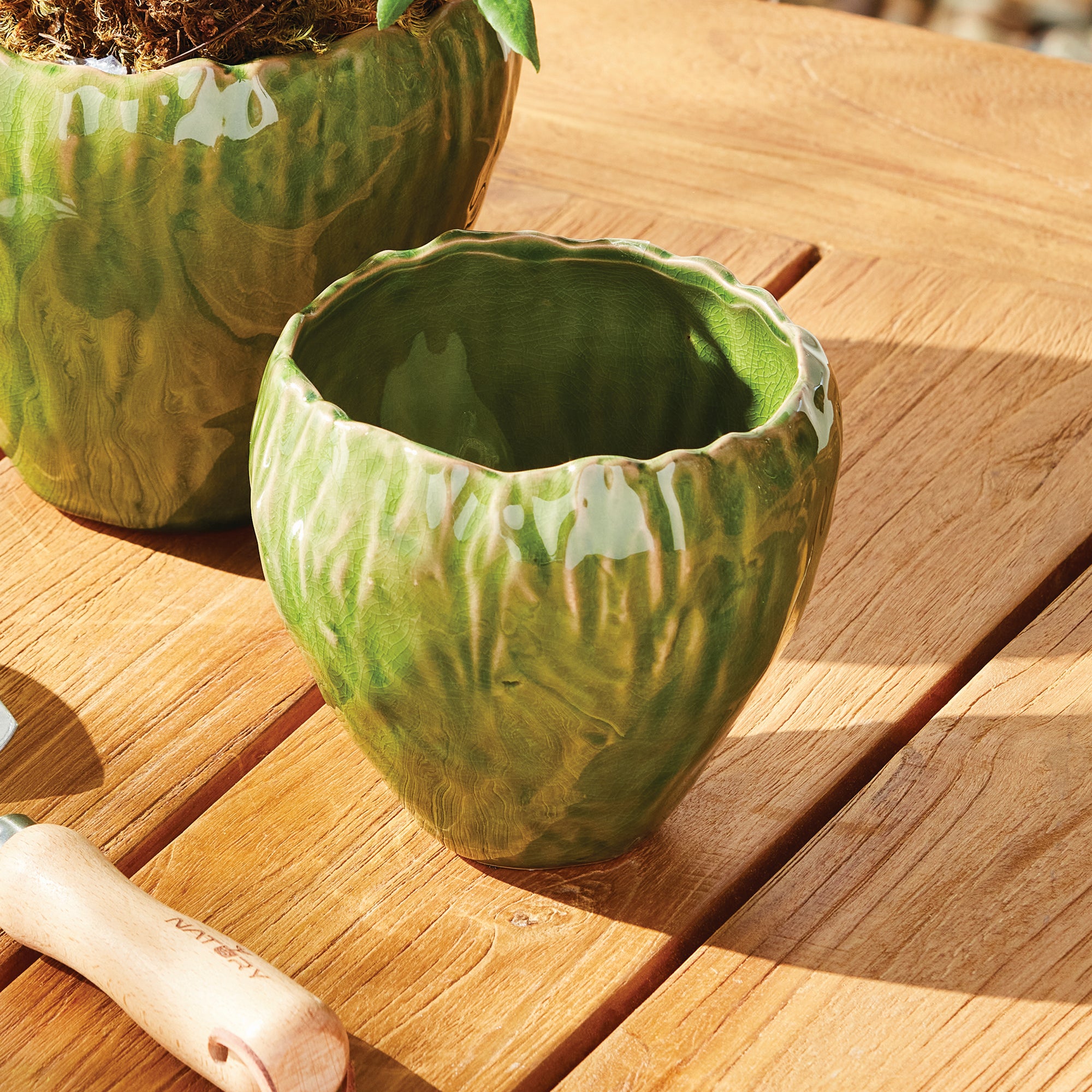 Yume Pot