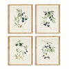 OLIVE STEMS STUDY, SET OF 4