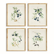Olivia Stem Prints Set of 4