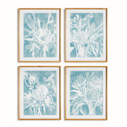 Myreen Protea Abstract Prints Set of 4