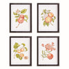 Fallon Fruit Prints, Set of 4