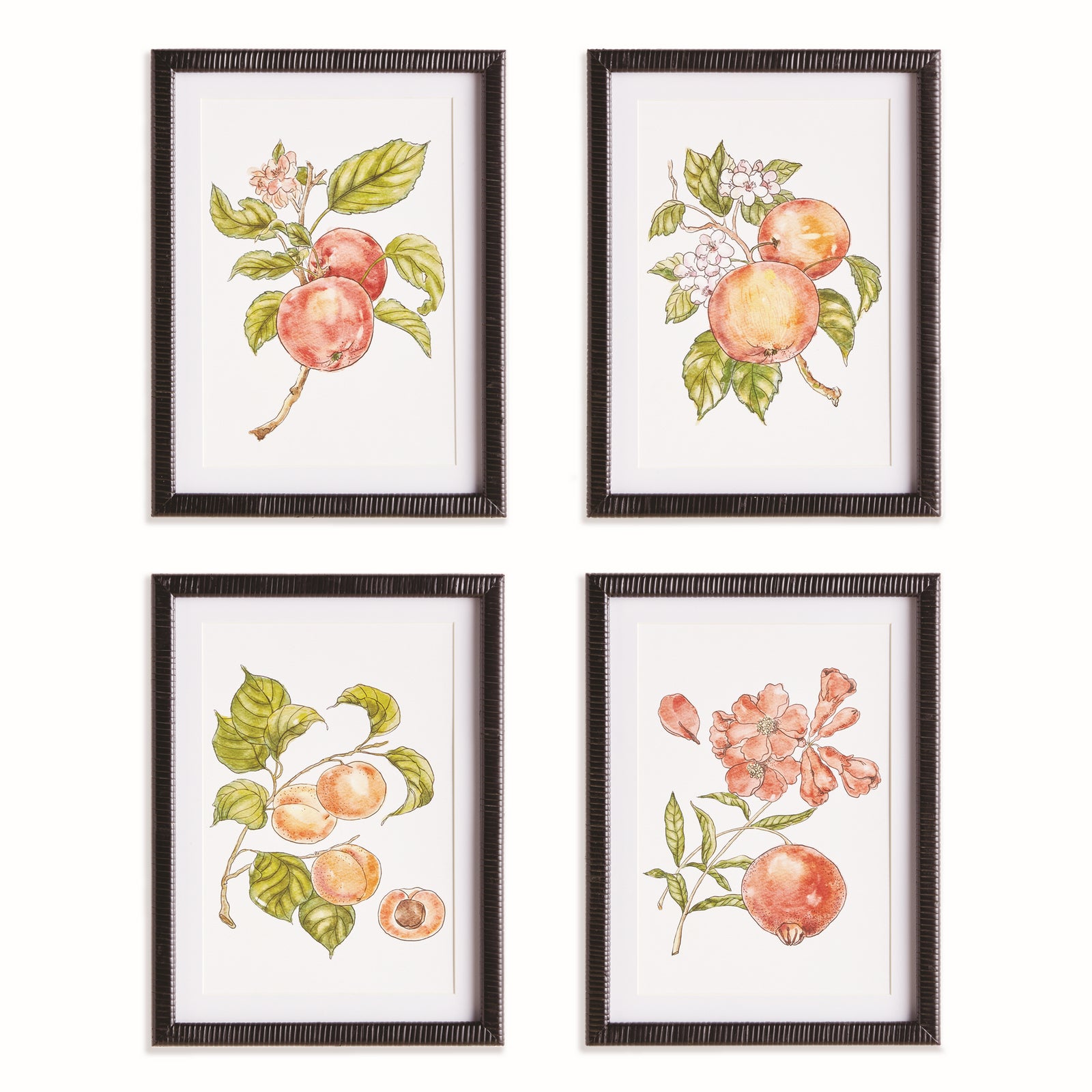 Fallon Fruit Prints, Set of 4