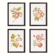 Fallon Fruit Prints, Set of 4