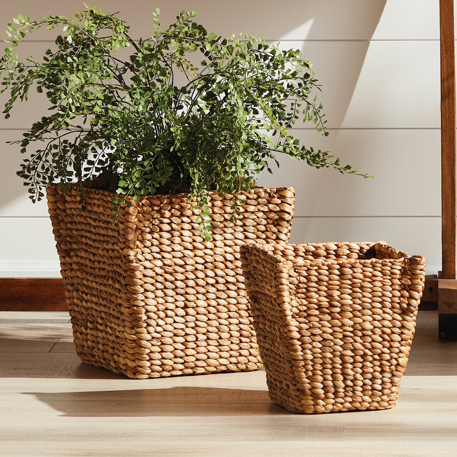 Caspia Water Hyacinth Tapered Baskets Set of 2