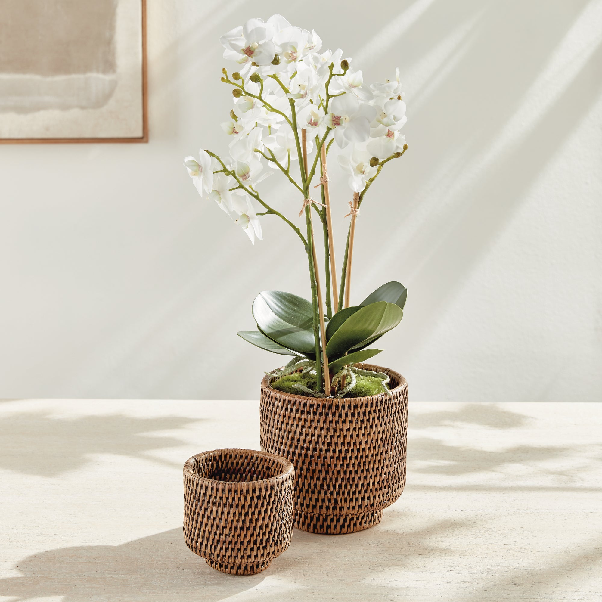 Zoe Rattan Cachepots, Set of 2